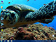 DreamScene Video Wallpaper & Video Screen Saver